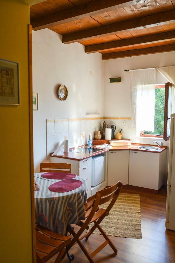 Apartment Zoja Pinezići Buitenkant foto